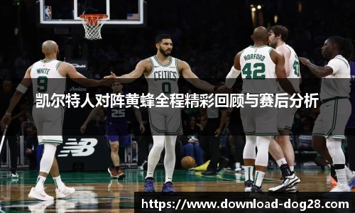 凯尔特人对阵黄蜂全程精彩回顾与赛后分析