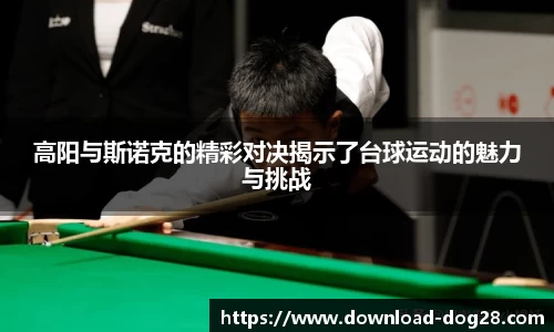 高阳与斯诺克的精彩对决揭示了台球运动的魅力与挑战