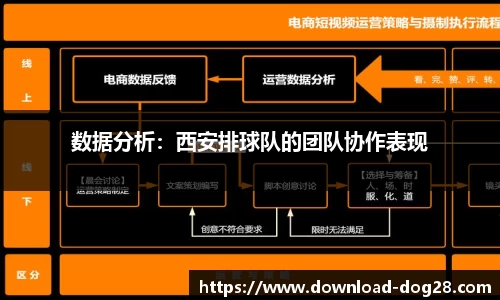 数据分析：西安排球队的团队协作表现